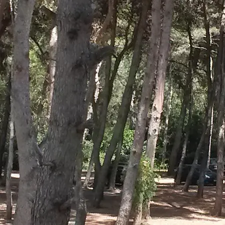 Del Sole E Del Mare سان كاتالدو