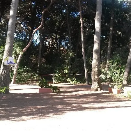 فيلة Del Sole E Del Mare